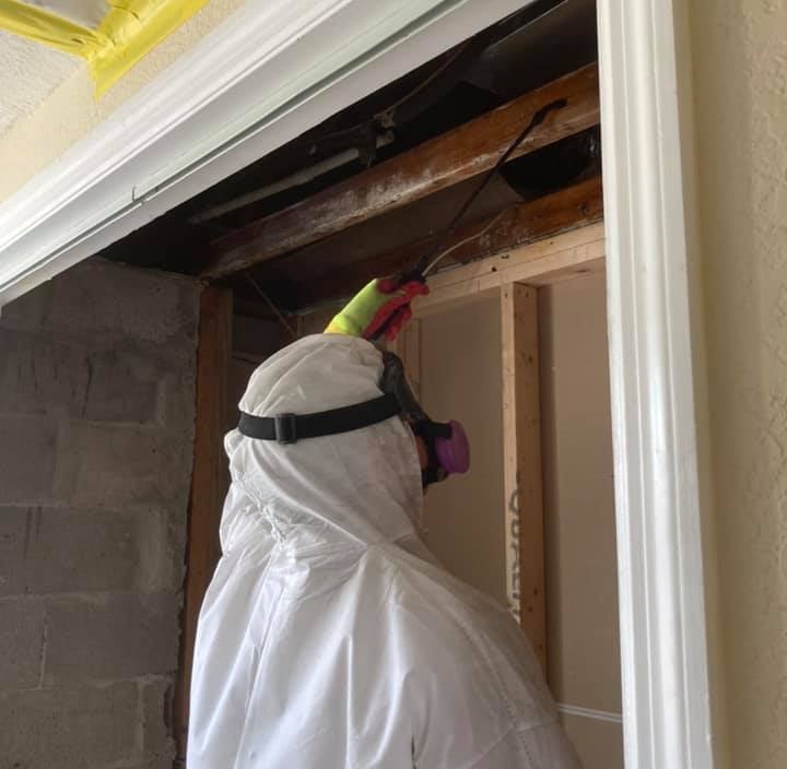 Cleaning Wall Cavity